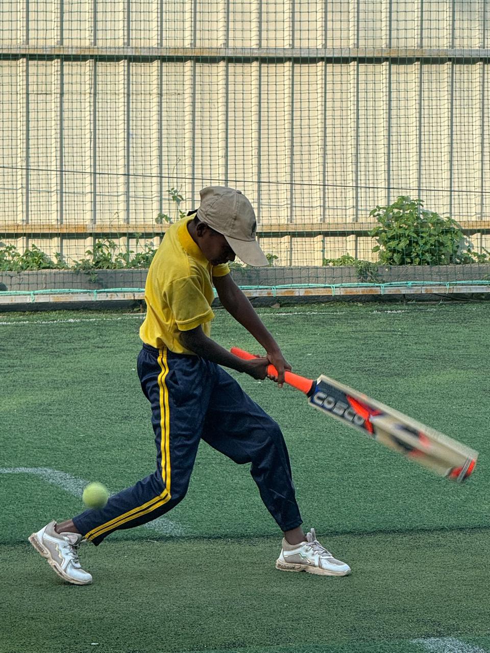 Cricket Playing Gallery